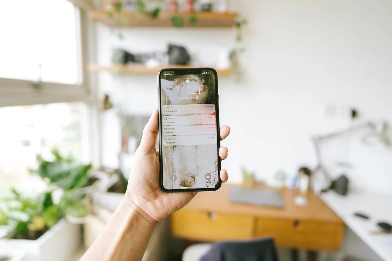 from DB